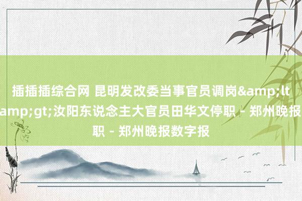 插插插综合网 昆明发改委当事官员调岗&lt;BR/&gt;汝阳东说念主大官员田华文停职－郑州晚报数字报