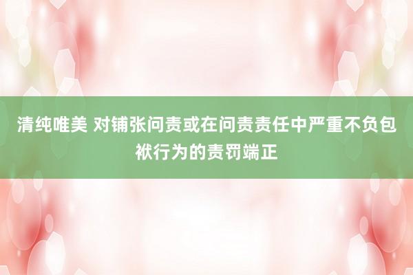 清纯唯美 对铺张问责或在问责责任中严重不负包袱行为的责罚端正