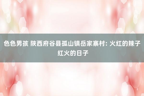 色色男孩 陕西府谷县孤山镇岳家寨村: 火红的辣子 红火的日子