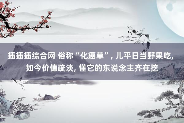 插插插综合网 俗称“化癌草”， 儿平日当野果吃， 如今价值疏淡， 懂它的东说念主齐在挖