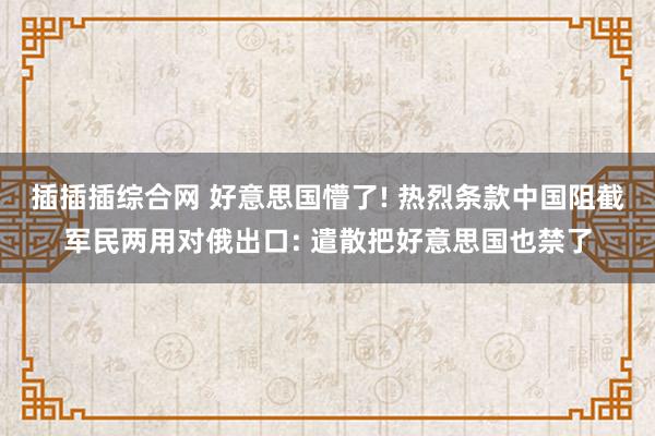 插插插综合网 好意思国懵了! 热烈条款中国阻截军民两用对俄出口: 遣散把好意思国也禁了