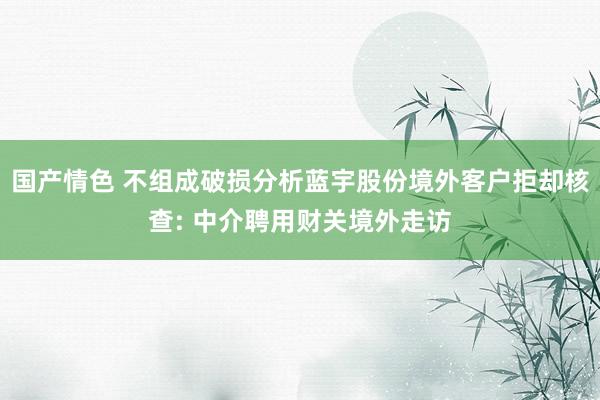 国产情色 不组成破损分析蓝宇股份境外客户拒却核查: 中介聘用财关境外走访