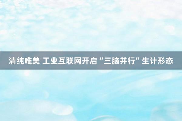 清纯唯美 工业互联网开启“三脑并行”生计形态