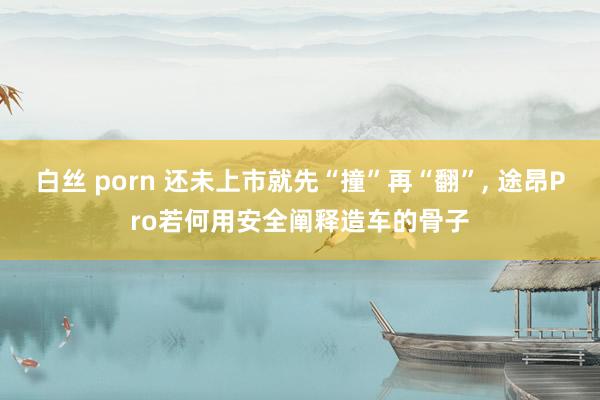 白丝 porn 还未上市就先“撞”再“翻”， 途昂Pro若何用安全阐释造车的骨子