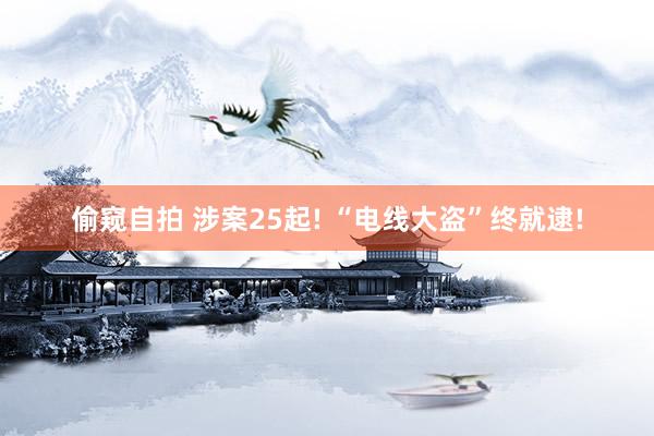 偷窥自拍 涉案25起! “电线大盗”终就逮!